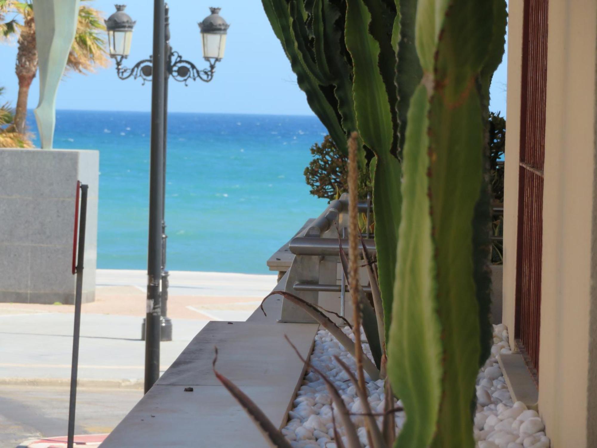 San Pedro Playa Apartment Marbella